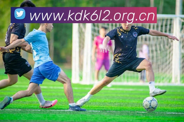 多媒体互动体验